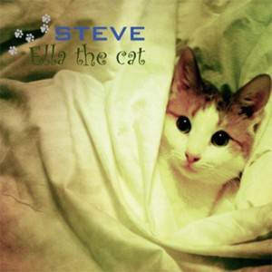 Ella the cat by Steve